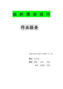 组织设计作业