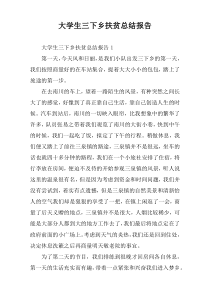 大学生三下乡扶贫总结报告