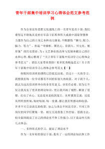 青年干部集中培训学习心得体会范文参考范例