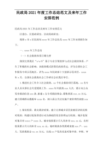 民政局工作总结范文及来年工作安排2021范例