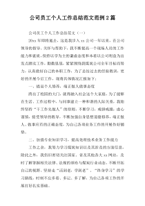 公司员工个人工作总结范文范例2篇