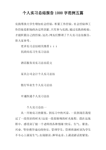 个人实习总结报告1000字范例五篇