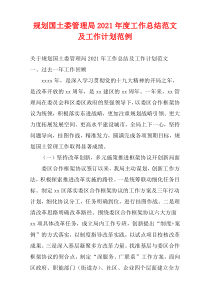2021年度规划国土委管理局工作总结范文及工作计划范例