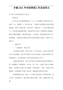 2021年度“乡镇对标管理”工作总结范文