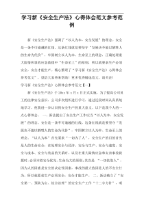 学习新《安全生产法》心得体会范文参考范例