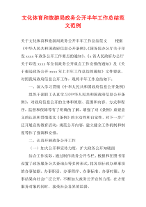 文化体育和旅游局政务公开半年工作总结范文范例