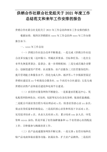 供销合作社联合社党组关于2021年度工作总结范文和来年工作安排的报告