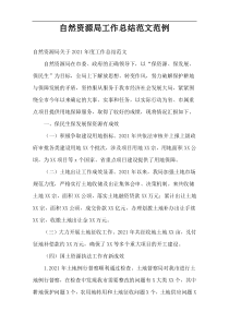 2021“自然资源局”的工作总结范文范例