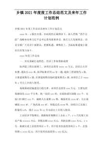 乡镇2021年度度工作总结范文及来年工作计划范例