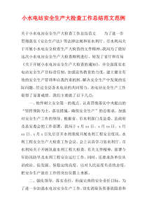 小水电站安全生产大检查工作总结范文范例