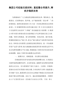 集团公司经验交流材料：重组整合再提升,蹄疾步稳抓实效