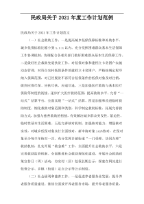 民政局2021年度工作计划范例
