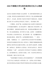 2020年暑假大学生到市政府机关见习心得感悟