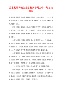 县水利局构建生态水利新格局工作计划总结报告