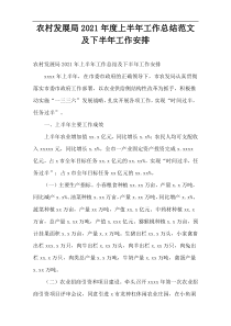 农村发展局上半年工作总结范文及下半年工作安排2021年度