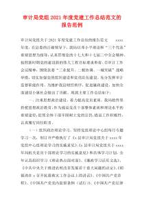 2021年度审计局党组党建工作总结范文的报告范例