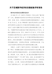 区域数字经济的发展经验评析报告