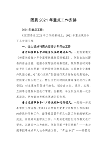 排团委重点工作安排2021年