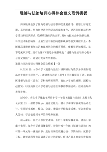 道德与法治培训心得体会范文范例