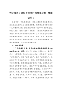党支部班子组织生活会对照检查材料集团公司
