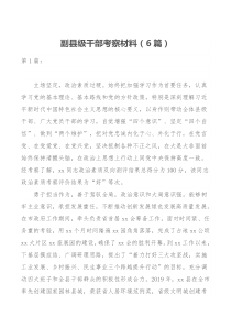 副县级干部考察材料6篇