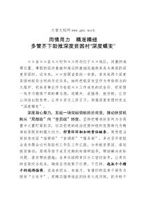 用情用力精准精细多管齐下助推深度贫困村深度蝶变