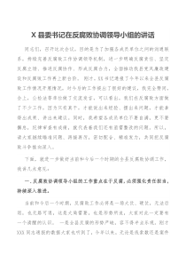 X县委书记在反腐败协调领导小组的讲话