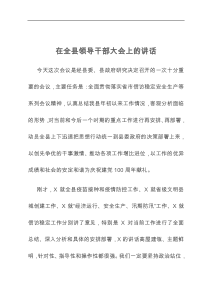 在全县领导干部大会上的讲话
