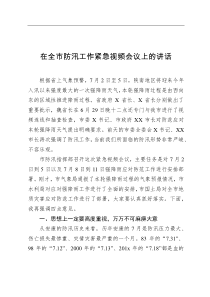 在全市防汛工作紧急视频会议上的讲话
