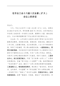 在市总工会十六届二次全委扩大会议上的讲话