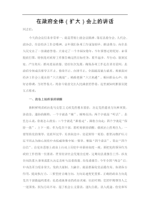 在政府全体扩大会上的讲话经济工作目标