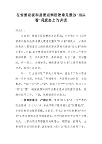 在省委巡视和县委巡察反馈意见整改回头看调度会上的讲话