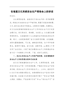在省直文化系统安全生产现场会上的讲话