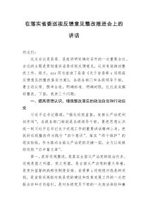 在落实省委巡视反馈意见整改推进会上的讲话