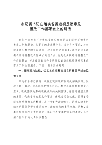 市纪委书记在落实省委巡视反馈意见整改工作部署会上的讲话