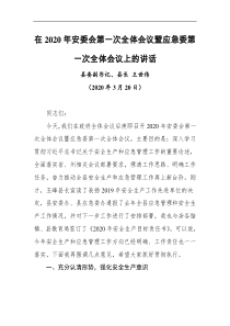 领导讲话在2021年安委会第一次全体会议暨应急委第一次全体会议上的讲话