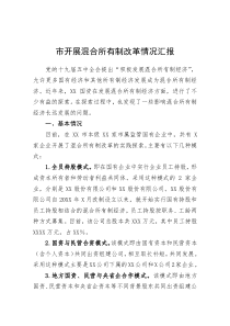 市开展混合所有制改革情况汇报