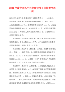 全县2021年度民生社会事业项目安排参考范例