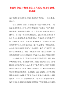 市政协会议开幕会上的工作总结范文讲话稿讲课稿