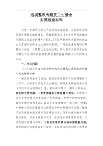 剖析材料巡视整改专题民主生活会对照检查材料乡镇