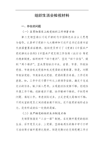 组织生活会检视材料
