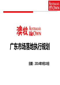 澳牧广东市场执行规划