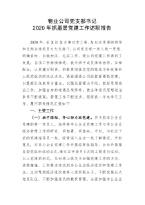 物业公司党支部书记2020年抓基层党建工作述职报告
