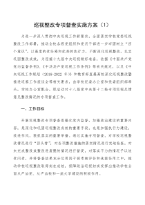 巡视督查方案巡视巡察整改专项督查实施方案范文3篇