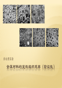 金属材料的显微组织观察（PPT51页)