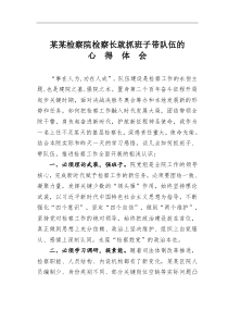 某某检察院检察长就抓班子带队伍的心得体会