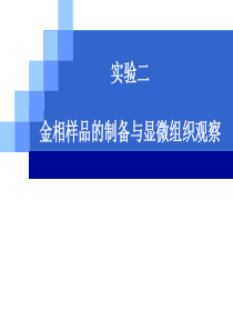 金相样品的制备与显微组织观察