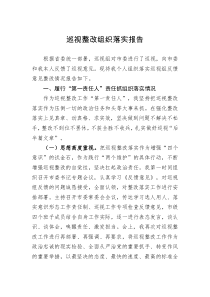 报告巡视整改组织落实报告