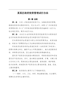 某区政府投资管理试行办法
