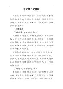 党支部自查情况